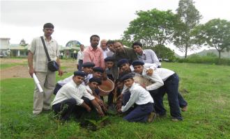 Tree Plantation